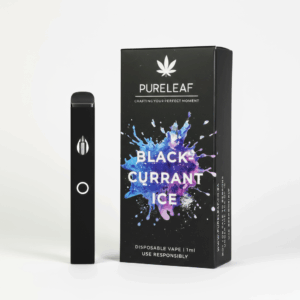 Pureleaf Black Currant Ice cannabis vape South Africa